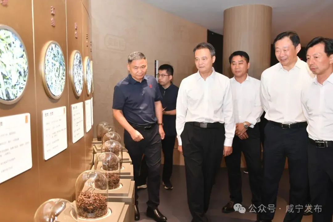 【产业聚焦】周锋到赤壁调研时强调 推动科技创新和产业创新深度融合 为县域经济高质量发展蓄势赋能